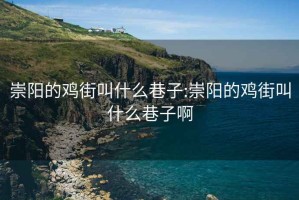 崇阳的鸡街叫什么巷子:崇阳的鸡街叫什么巷子啊