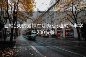 汕尾150的爱情在哪条街:汕尾海丰学生200快餐