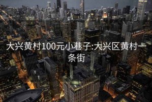 大兴黄村100元小巷子:大兴区黄村一条街