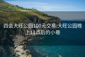 四会大旺公园100元交易:大旺公园晚上11点后的小巷