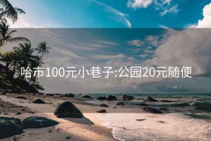 哈市100元小巷子:公园20元随便