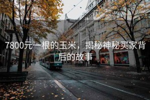 7800元一根的玉米，揭秘神秘买家背后的故事