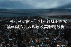 “黑丝骚货后入”科技领域的新宠，黑丝骚货后入现象及其影响分析