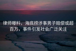 律师曝料，海底捞涉事男子赔偿或超百万，事件引发社会广泛关注