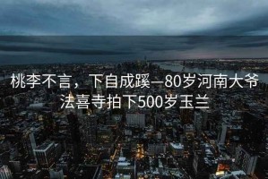 桃李不言，下自成蹊—80岁河南大爷法喜寺拍下500岁玉兰