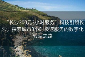 “长沙300元3小时服务”科技引领长沙，探索城市3小时极速服务的数字化转型之路