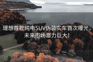 理想首款纯电SUV伪装实车首次曝光，未来市场潜力巨大！