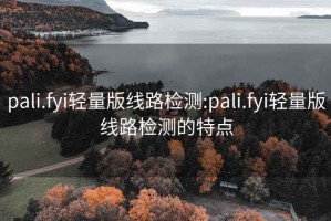 pali.fyi轻量版线路检测:pali.fyi轻量版线路检测的特点