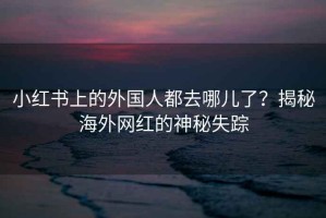 小红书上的外国人都去哪儿了？揭秘海外网红的神秘失踪