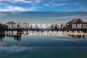 “抚顺300快餐无限次个体户”抚顺300快餐，无限次个体户的魅力与活力