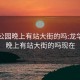 龙华公园晚上有站大街的吗:龙华公园晚上有站大街的吗现在