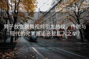 男子故宫跳舞视频引发热议，传统与现代的完美邂逅还是乱入之举？