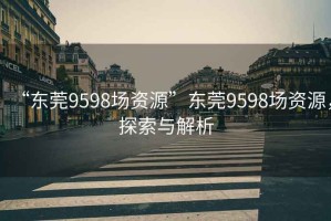 “东莞9598场资源”东莞9598场资源，探索与解析