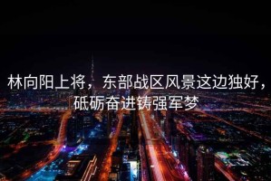 林向阳上将，东部战区风景这边独好，砥砺奋进铸强军梦