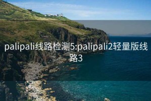 palipali线路检测5:palipali2轻量版线路3