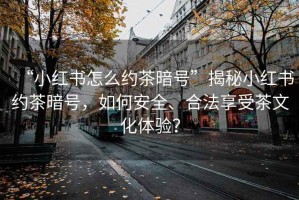 “小红书怎么约茶暗号”揭秘小红书约茶暗号，如何安全、合法享受茶文化体验？