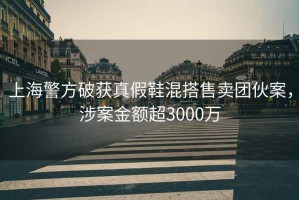 上海警方破获真假鞋混搭售卖团伙案，涉案金额超3000万