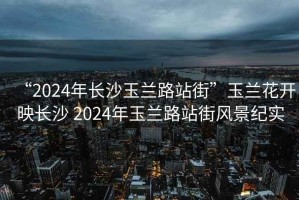 “2024年长沙玉兰路站街”玉兰花开映长沙 2024年玉兰路站街风景纪实