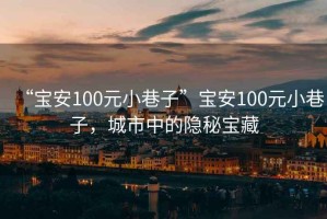 “宝安100元小巷子”宝安100元小巷子，城市中的隐秘宝藏