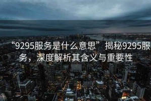 “9295服务是什么意思”揭秘9295服务，深度解析其含义与重要性