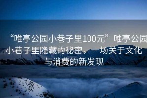 “唯亭公园小巷子里100元”唯亭公园小巷子里隐藏的秘密，一场关于文化与消费的新发现