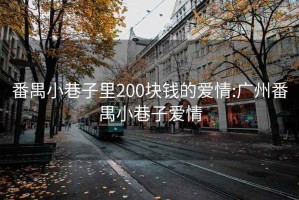 番禺小巷子里200块钱的爱情:广州番禺小巷子爱情