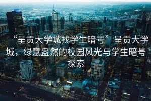 “呈贡大学城找学生暗号”呈贡大学城，绿意盎然的校园风光与学生暗号探索