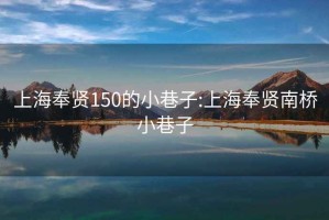 上海奉贤150的小巷子:上海奉贤南桥小巷子