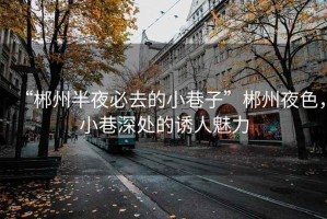 “郴州半夜必去的小巷子”郴州夜色，小巷深处的诱人魅力