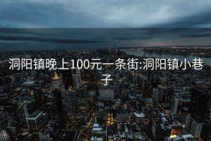 洞阳镇晚上100元一条街:洞阳镇小巷子