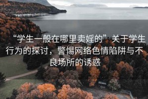 “学生一般在哪里卖婬的”关于学生行为的探讨，警惕网络色情陷阱与不良场所的诱惑