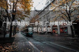 广州黄埔姑娘一条街:广州黄埔姑娘一条街在哪里