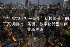 “丁家坝卖批一条街”科技繁荣下的丁家坝卖批一条街，数字化转型与商业新生态