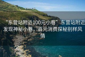 “东营站附近100元小巷”东营站附近发现神秘小巷，百元消费探秘别样风情