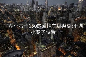 平湖小巷子150的爱情在哪条街:平湖小巷子位置