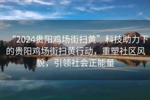 “2024贵阳鸡场街扫黄”科技助力下的贵阳鸡场街扫黄行动，重塑社区风貌，引领社会正能量