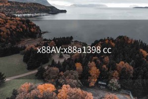 x88AV:x88a1398 cc