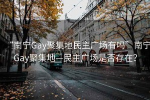 “南宁Gay聚集地民主广场有吗”南宁Gay聚集地—民主广场是否存在？