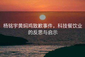 杨铭宇黄焖鸡致歉事件，科技餐饮业的反思与启示