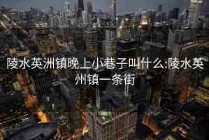 陵水英洲镇晚上小巷子叫什么:陵水英州镇一条街