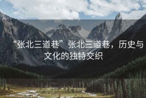 “张北三道巷”张北三道巷，历史与文化的独特交织