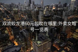 双流蛟龙港60元包吹在哪里:外卖女暗号一览表