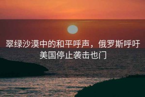 翠绿沙漠中的和平呼声，俄罗斯呼吁美国停止袭击也门