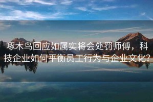 啄木鸟回应如属实将会处罚师傅，科技企业如何平衡员工行为与企业文化？