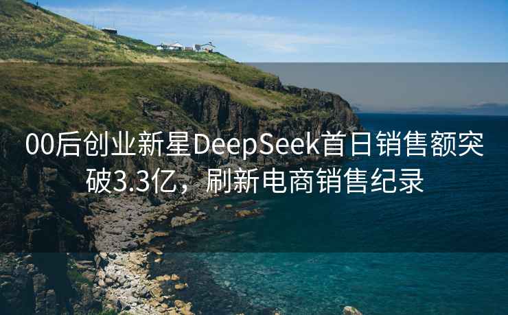 00后创业新星DeepSeek首日销售额突破3.3亿，刷新电商销售纪录