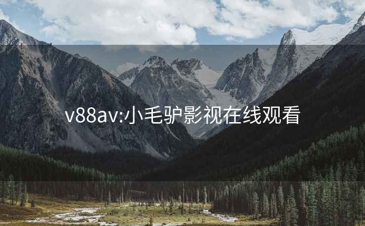 v88av:小毛驴影视在线观看