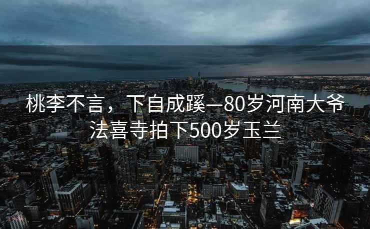 桃李不言，下自成蹊—80岁河南大爷法喜寺拍下500岁玉兰