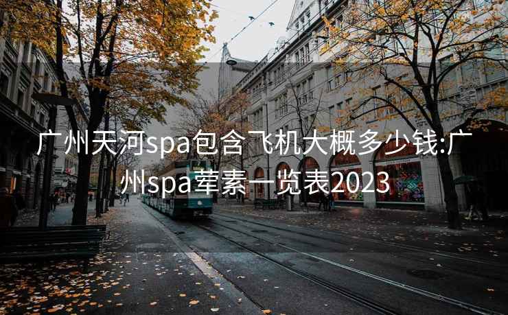 广州天河spa包含飞机大概多少钱:广州spa荤素一览表2023