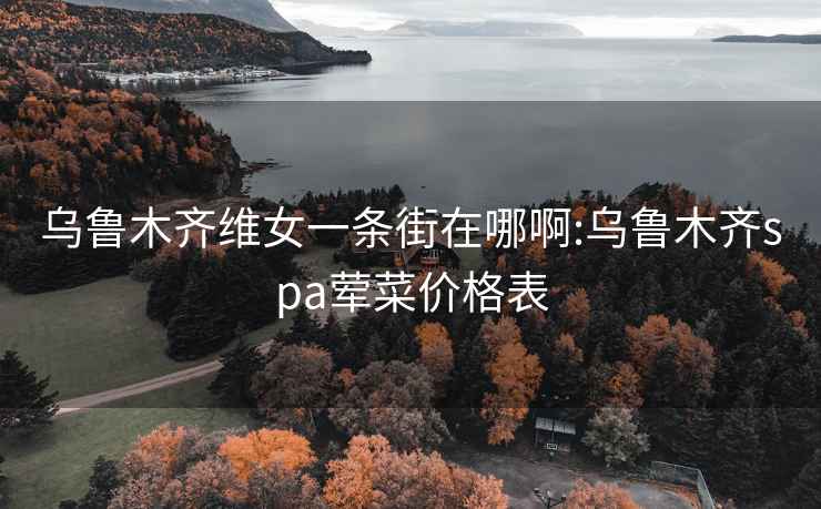 乌鲁木齐维女一条街在哪啊:乌鲁木齐spa荤菜价格表