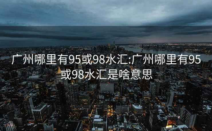 广州哪里有95或98水汇:广州哪里有95或98水汇是啥意思